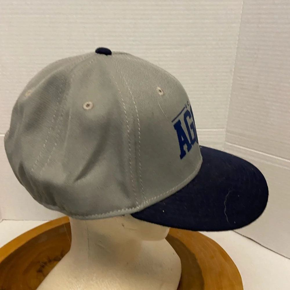 UC Davis AGGIES SnapBack